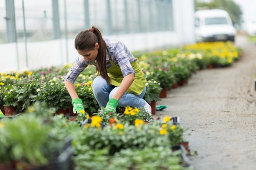 A gardener pruning a hedge in a Northolt garden