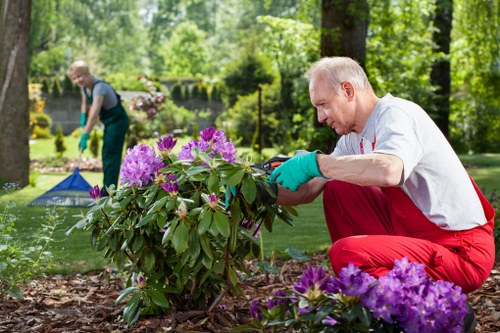 Team conducting a risk assessment at a garden site