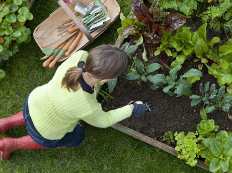 Emergency equipment and first aid kit on a garden job