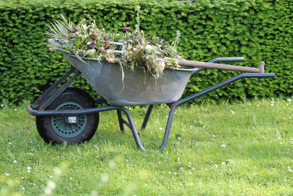 A gray metal wheelbarrow filled with garden debris such as wilted flowers, leaves, and twigs, resting on a lush green lawn. The wheelbarrow has a single black rubber tire with a gray-green hub and woo