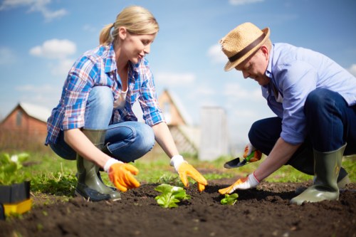 In a well-maintained garden in Northolt, a young woman and an older man are actively planting young green seedlings into dark, rich soil. The woman, dressed in a blue plaid shirt, jeans, and rubber gardening boots, is kneeling on the grass while carefully placing a seedling in the ground. The man, wearing a straw hat, light blue shirt, dark trousers, and rubber boots, is crouched beside her, holding a small gardening trowel and adjusting another plant. The garden features a neat lawn in the foreground, bordered by freshly tilled soil sections. In the background, there are a few trees, garden fences, and a partly cloudy sky, indicating a pleasant weather day ideal for outdoor gardening. The scene captures a moment of collaborative gardening activity, demonstrating practical landscaping and planting skills relevant to gardening services in Northolt, with natural tones of green, brown, and blue, emphasizing a healthy and vibrant outdoor space.